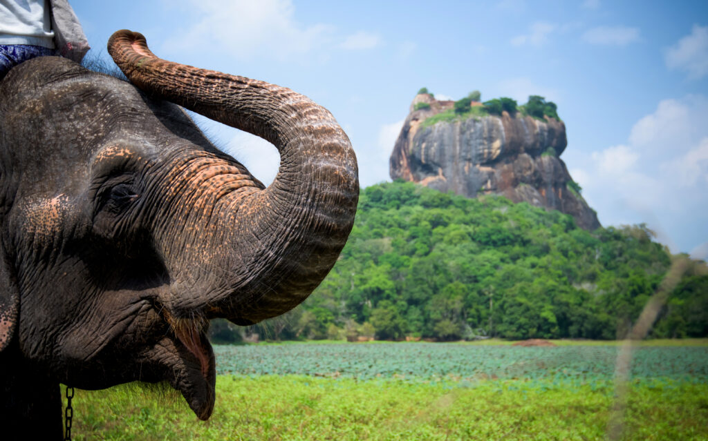 TESOROS DE SRI LANKA